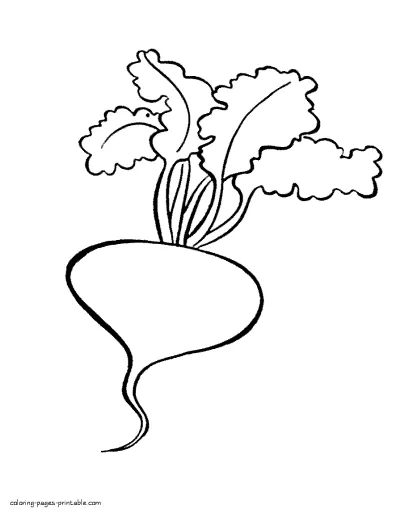 Preschool coloring book. Beet root vegetable