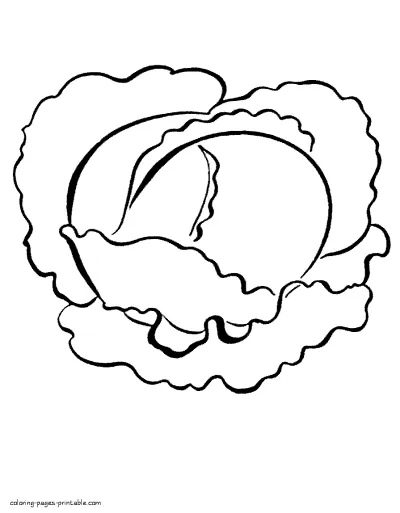 Vegetable coloring pages for little kids. Cabbage