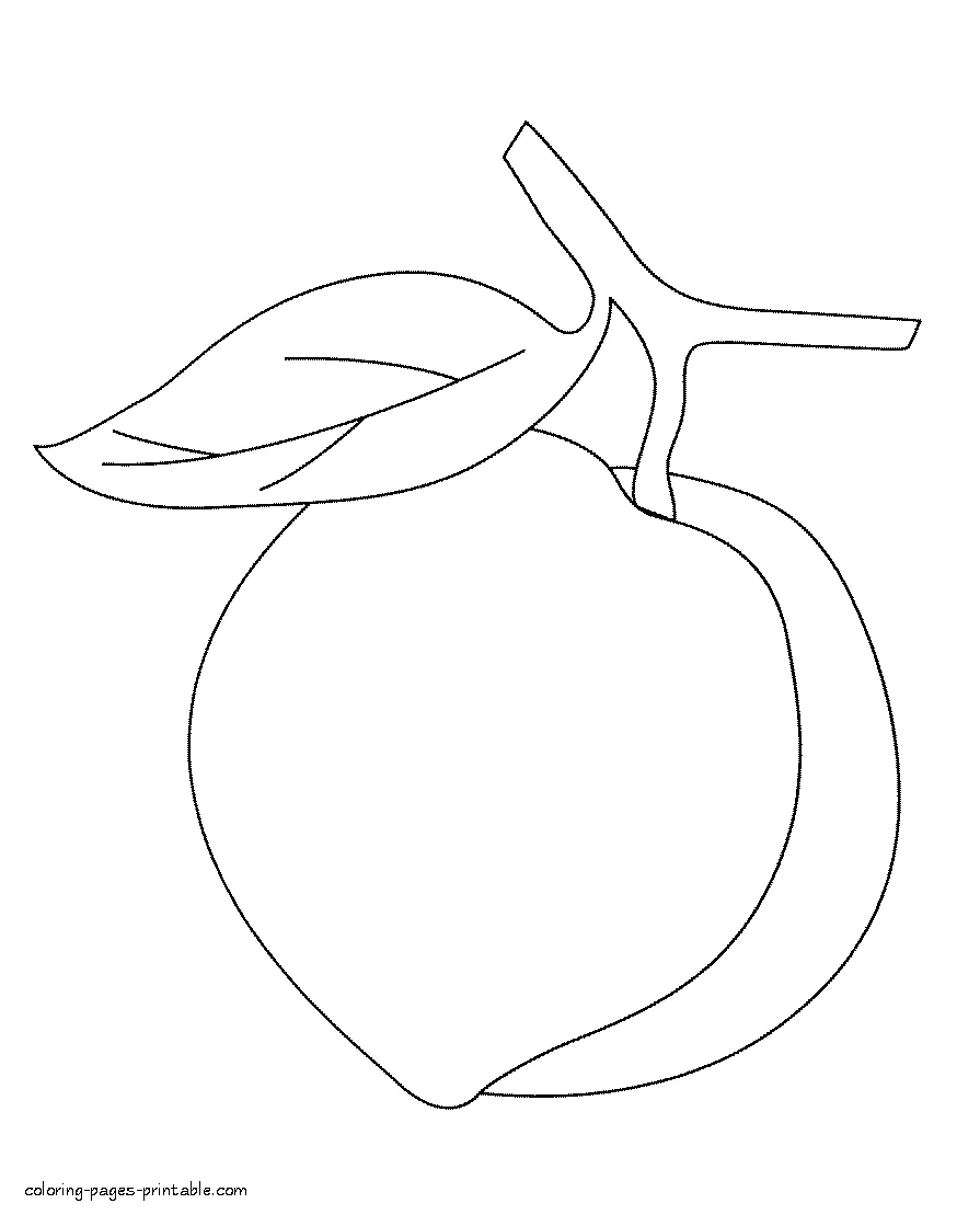 Free coloring pages preschool - Peach. Fruits and vegetables Free coloring pages preschool - Peach