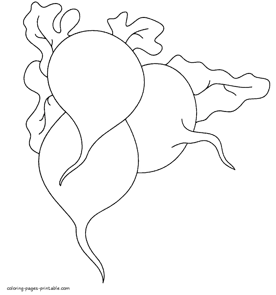 Fruits and veggies coloring pages. Red radish Fruits and veggies coloring pages. Red radish for printing sheet