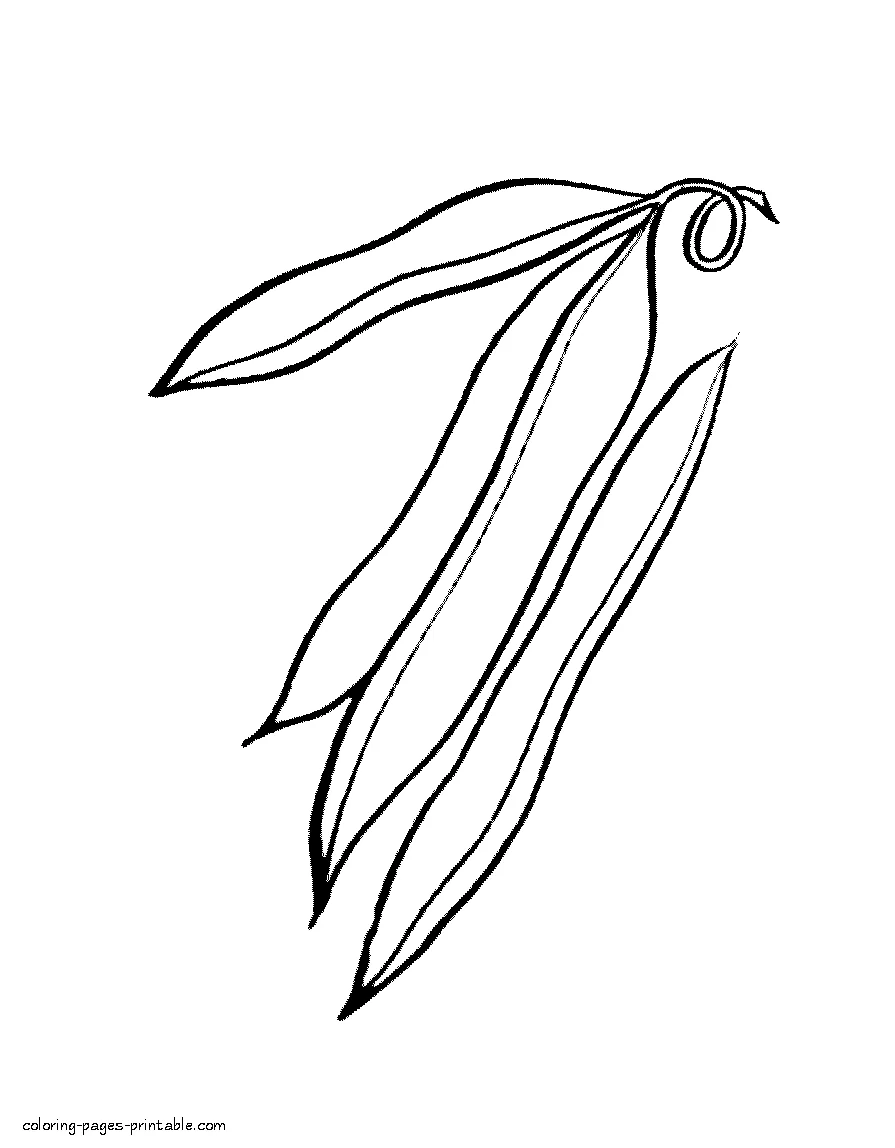 Beans coloring sheets for preschoolers Beans coloring sheets for toddlers and preschoolers