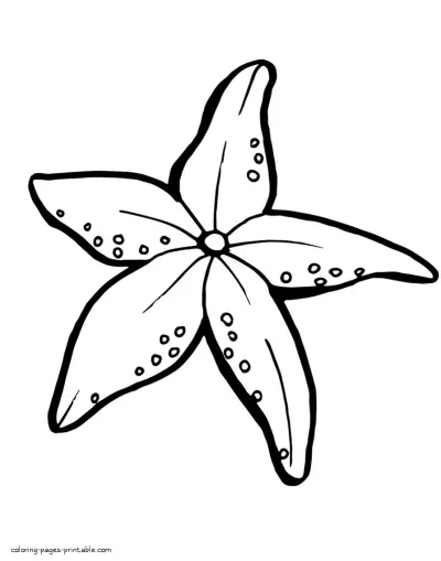 Coloring pages of starfish. Ocean creatures for kids