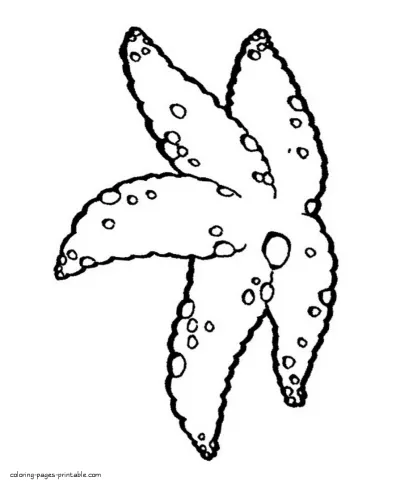 Sea animals coloring pages. Starfish printable sheet