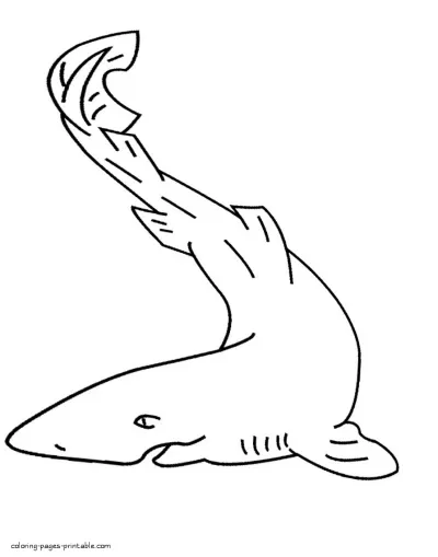 Shark coloring pages printable. Sea animal