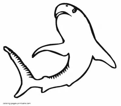 Sea animals colouring pages. Sharks to print