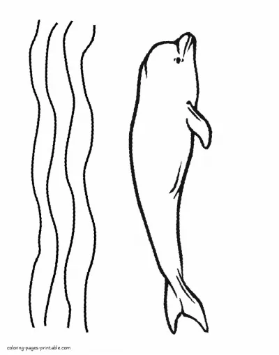 Coloring pages whale. Sea mammals