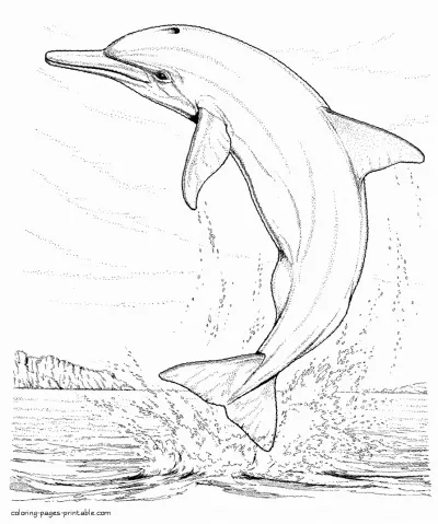 Colouring pages of sea animals to print. Dolphins
