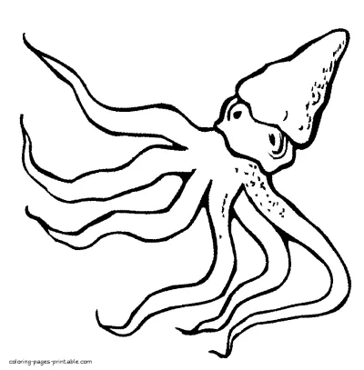 Octopus coloring pages. Ocean life for kids