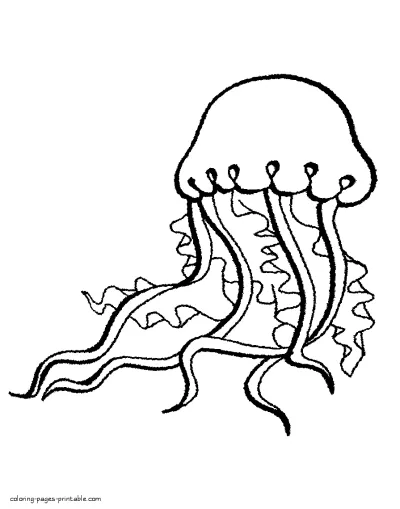 Coloring page of a beautiful jellyfish. Sea animals