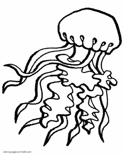 What animals live in the sea. Coloring pages for kids