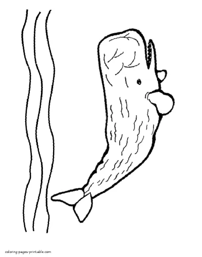 Printable Humpback whale coloring pages