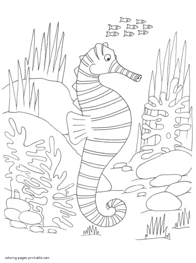 Animals that live under the sea. Seahorse to print