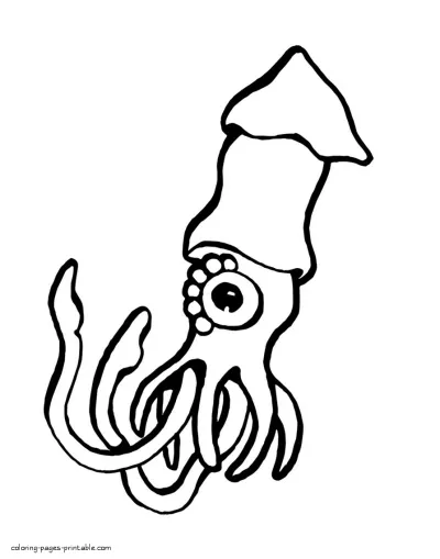 Sea animals pictures. The squid coloring page
