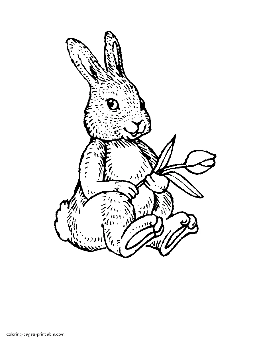 Bunny with a tulip coloring page Bunny with a tulip coloring page for spring