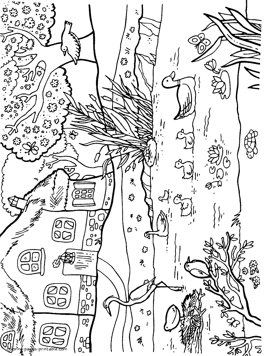 Spring animals coloring pages Spring animals and birds coloring pages