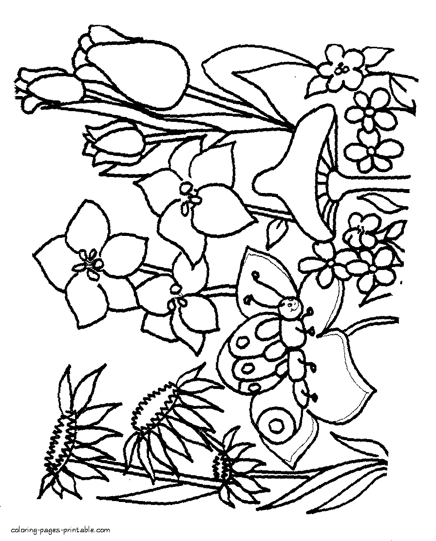 Free printable spring coloring pages Free printable spring flowers coloring pages