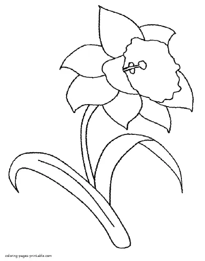 Daffodil coloring pages for spring