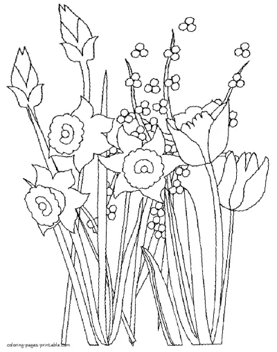 Spring flowers coloring pages to print