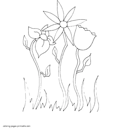Spring coloring book pages to print