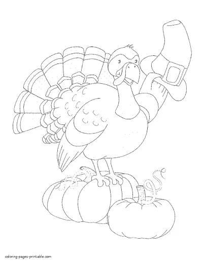 Turkey with a pilgrim hat and pumpkins. Holidays