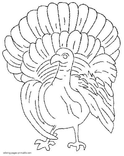 Printable Thanksgiving coloring pages. Turkey