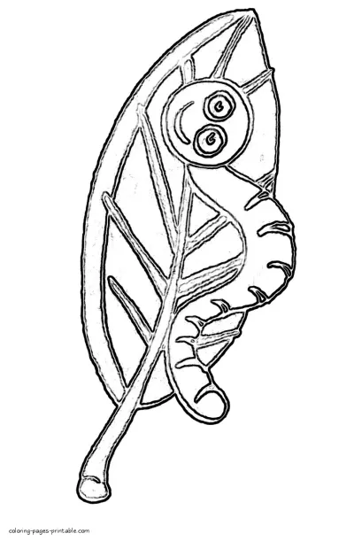 A worm and leaf. Colouring pages for boys and girls