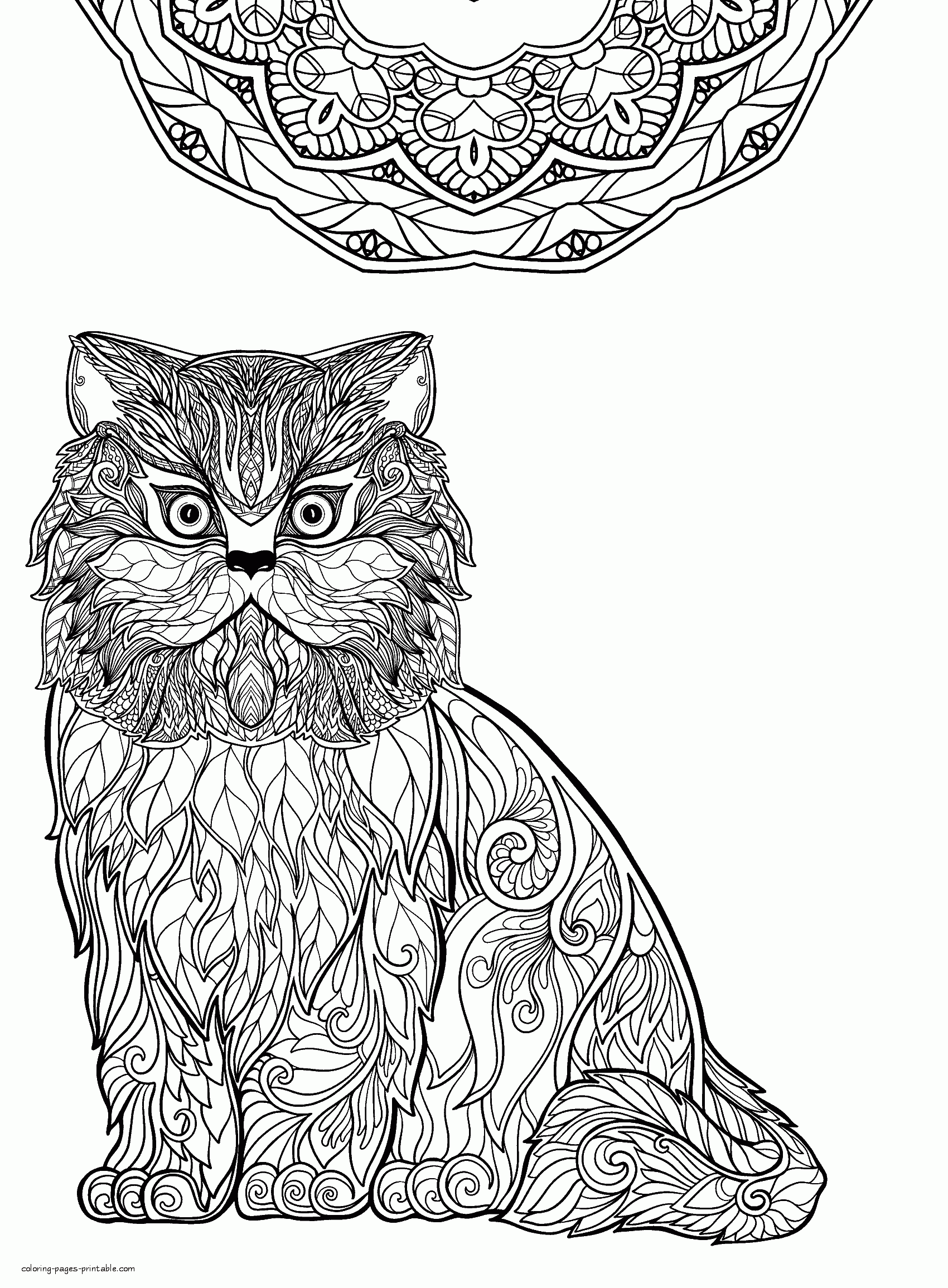 Adult Coloring Page Cat