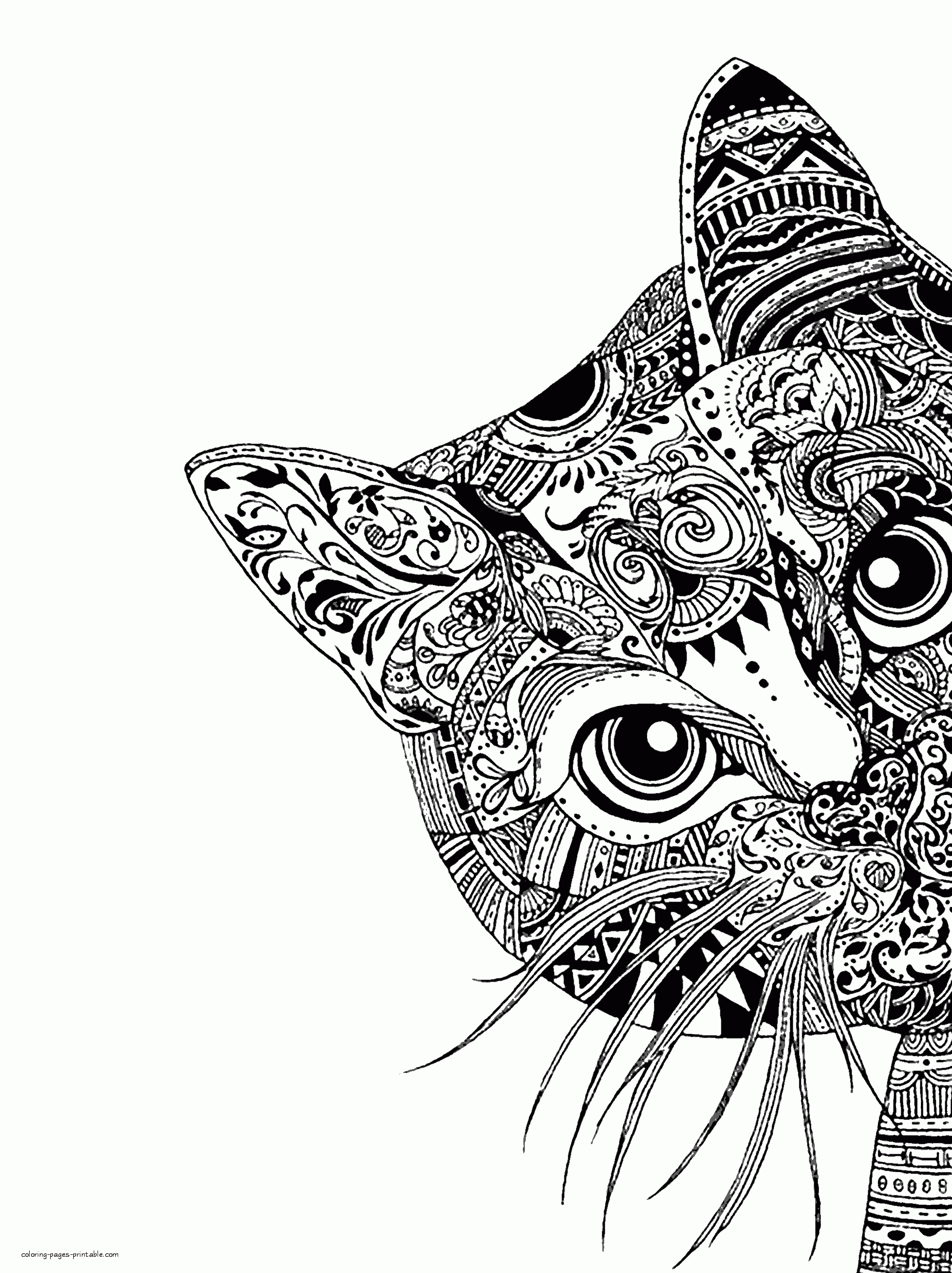 Animal Face Coloring Pages. A Cat    COLORING PAGES PRINTABLE.COM