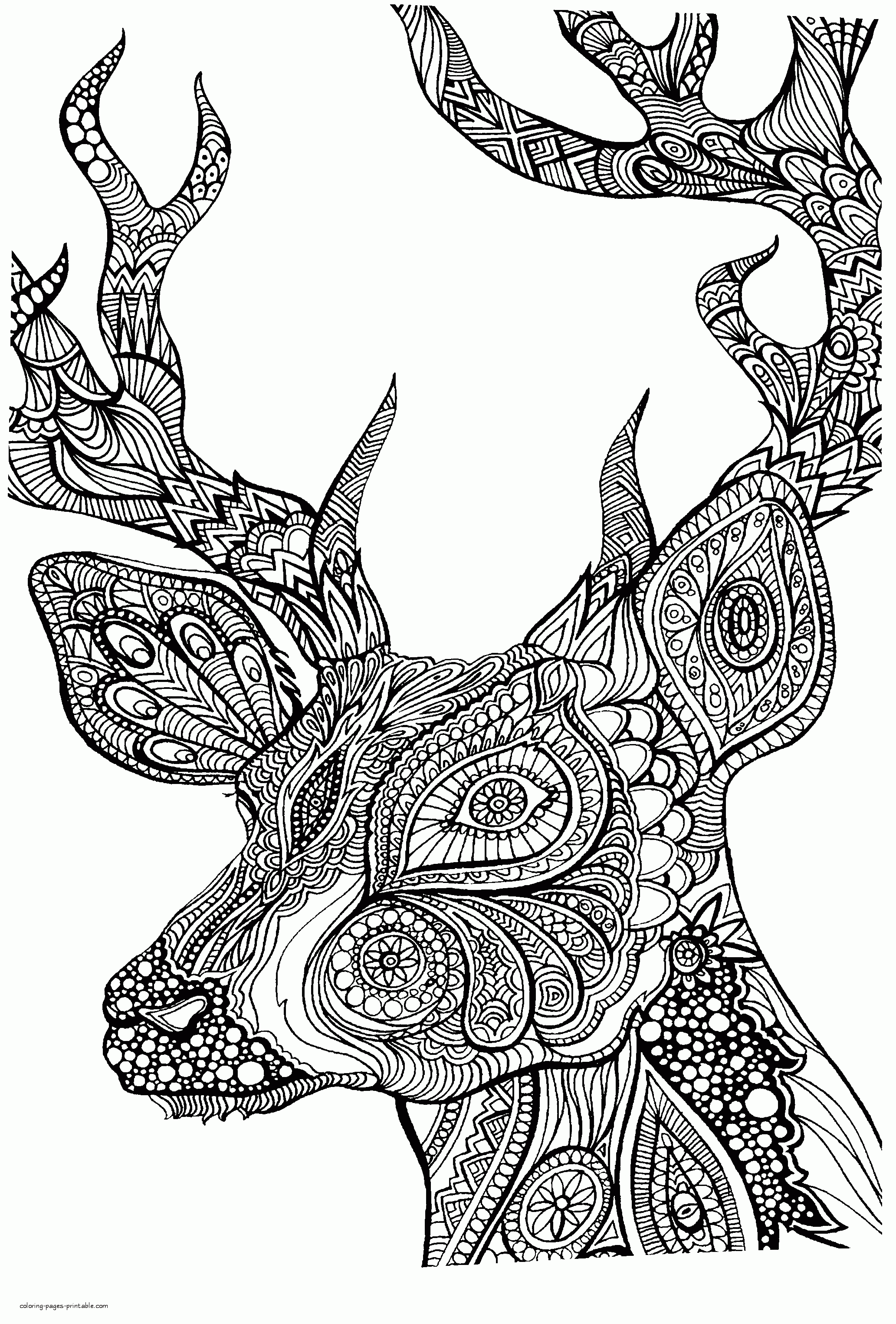 Free Animal Adult Coloring Pages With Deer    COLORING PAGES ...