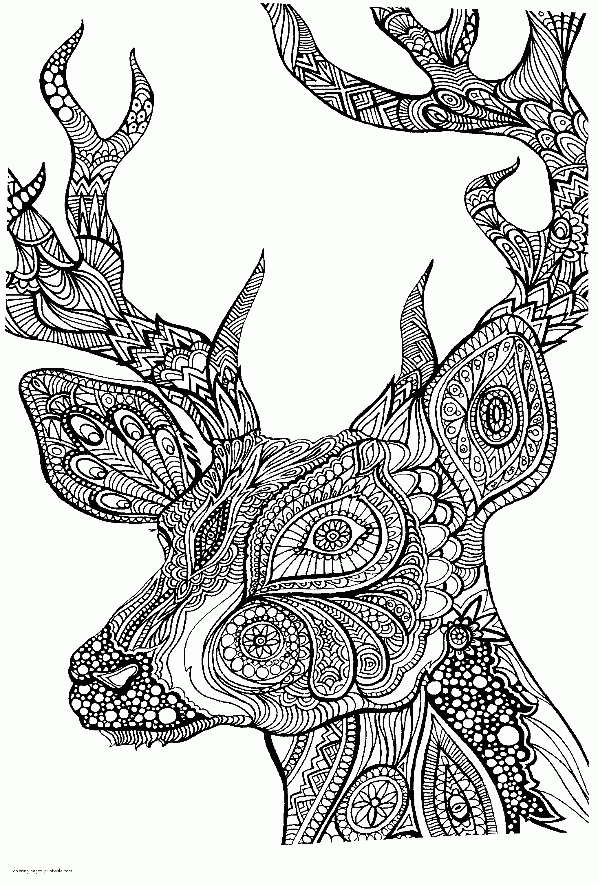 coloring pages for adults animals