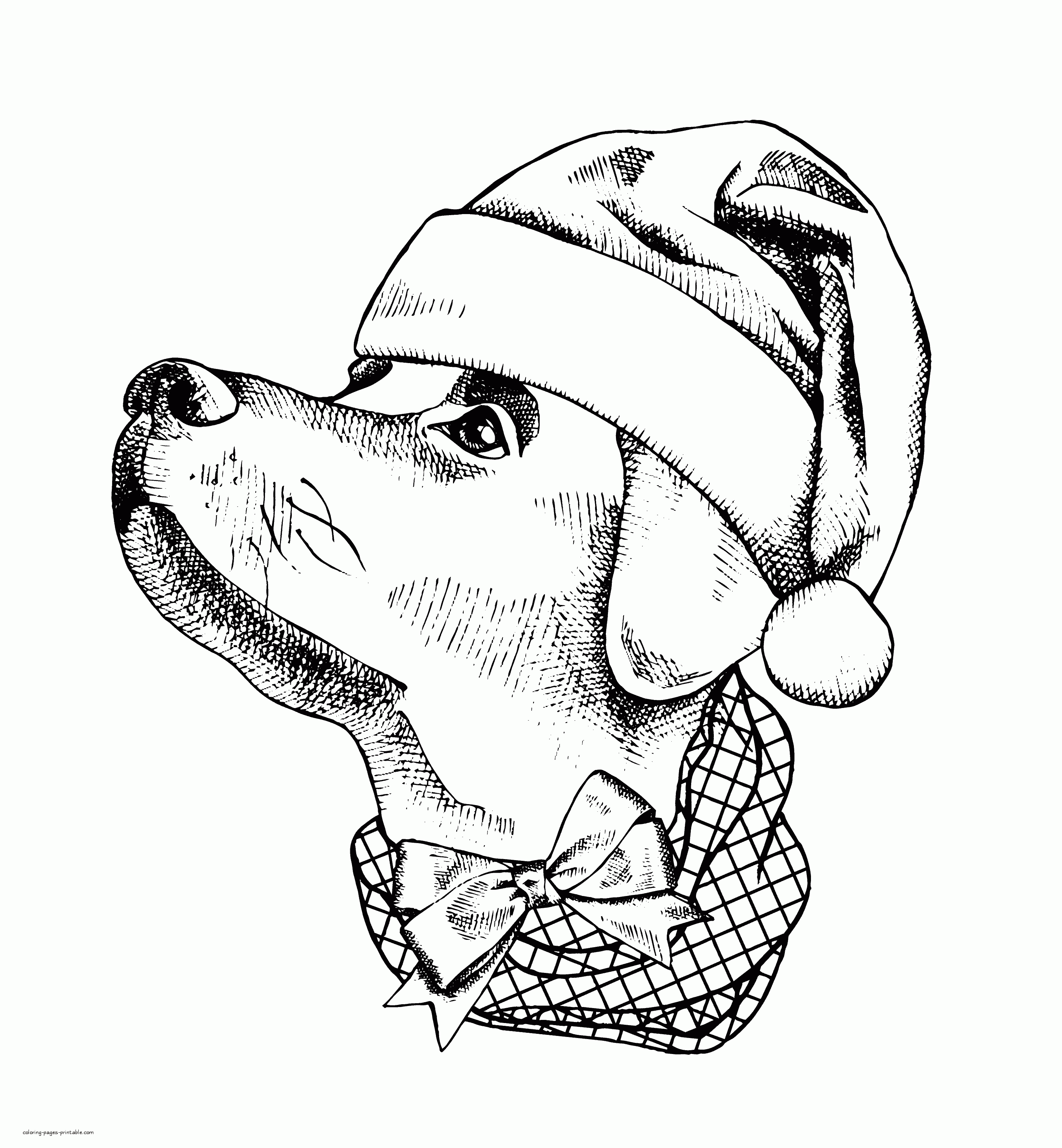 Real Dog Coloring Page For Adult    COLORING PAGES PRINTABLE.COM