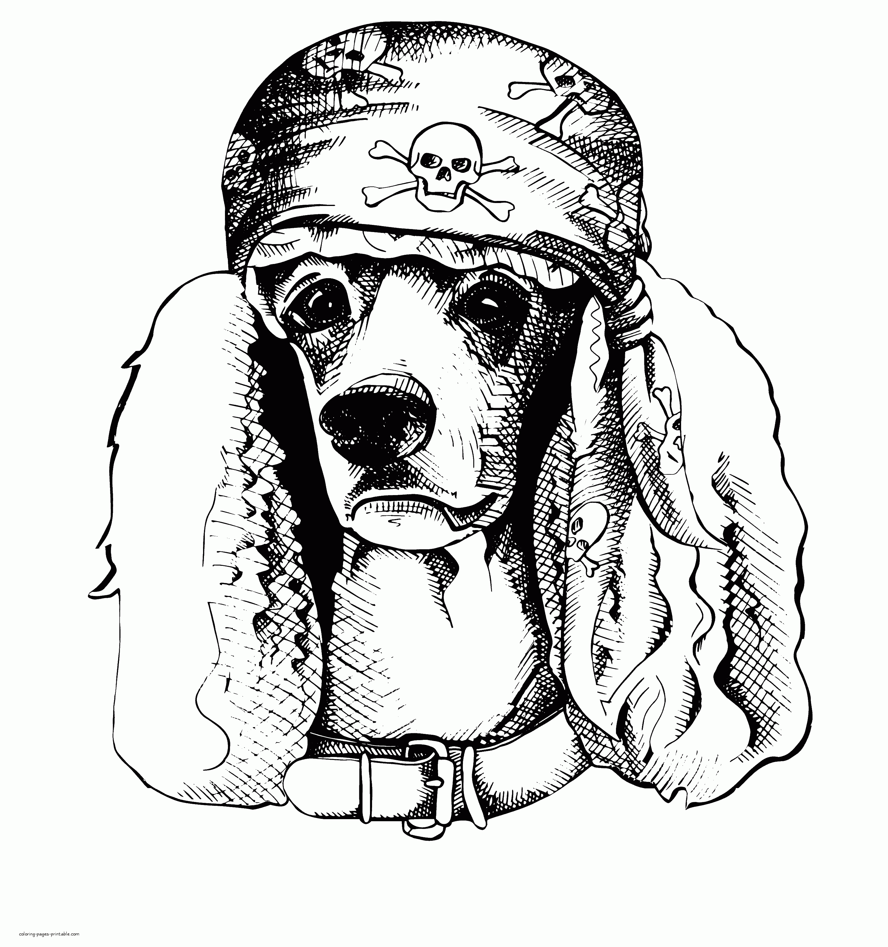 Cocker Spaniel Dog Coloring Page For Adult