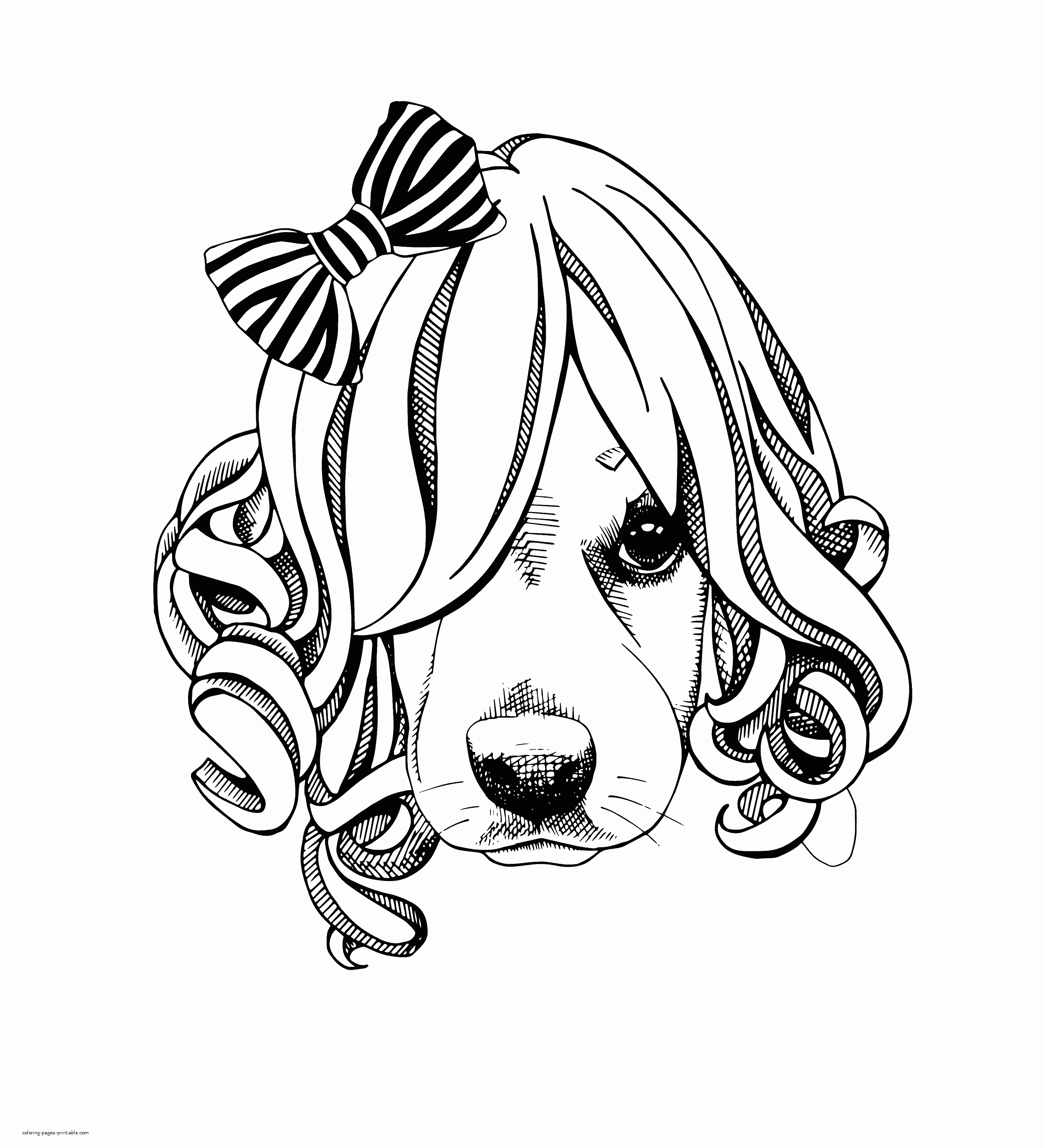 Dog Face Coloring Page    COLORING PAGES PRINTABLE.COM