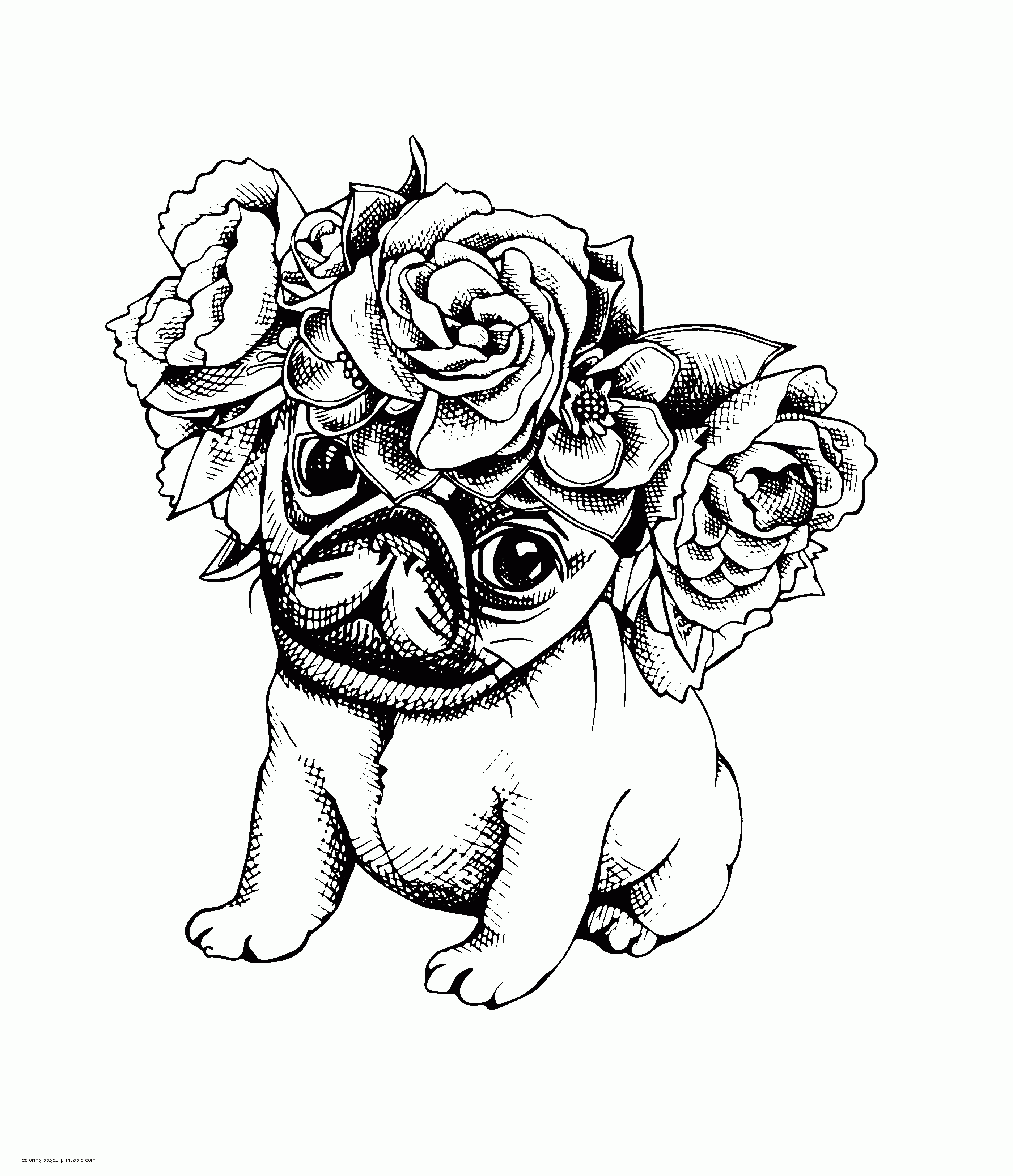 Animal Coloring Pages For Adults. Puppy || COLORING-PAGES-PRINTABLE.COM