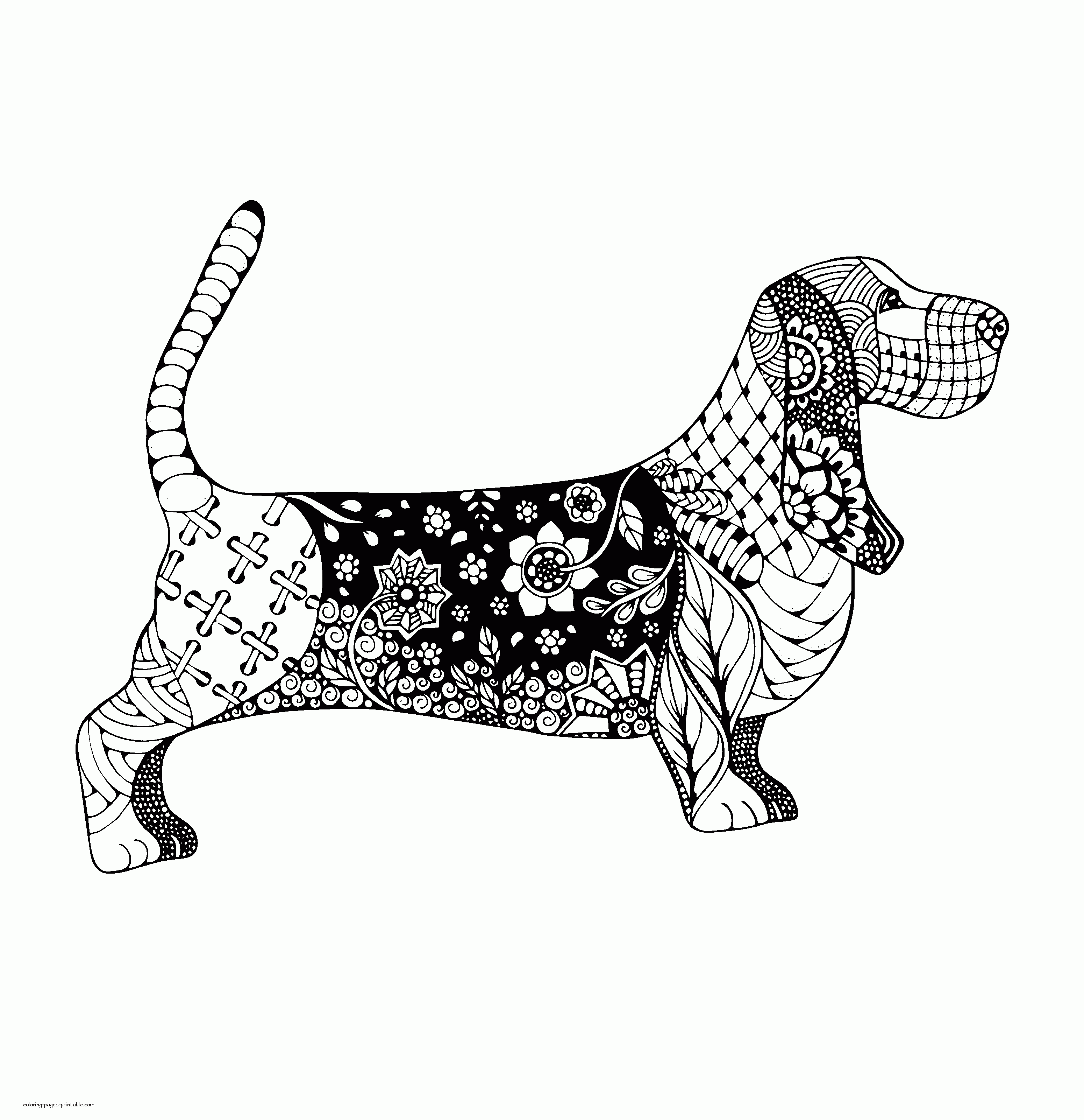 English Badger Dog Coloring Page    COLORING PAGES PRINTABLE.COM