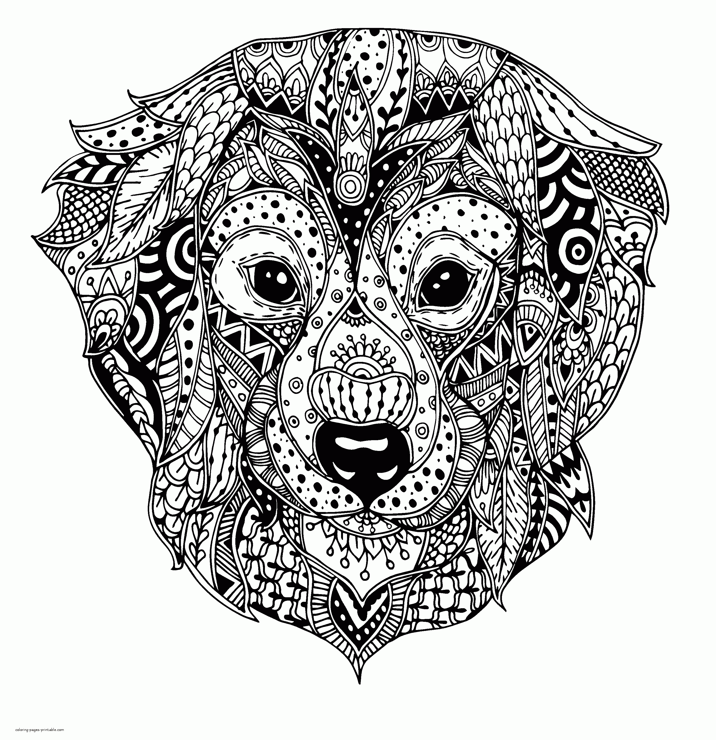 Adult Free Dog Coloring Pages    COLORING PAGES PRINTABLE.COM