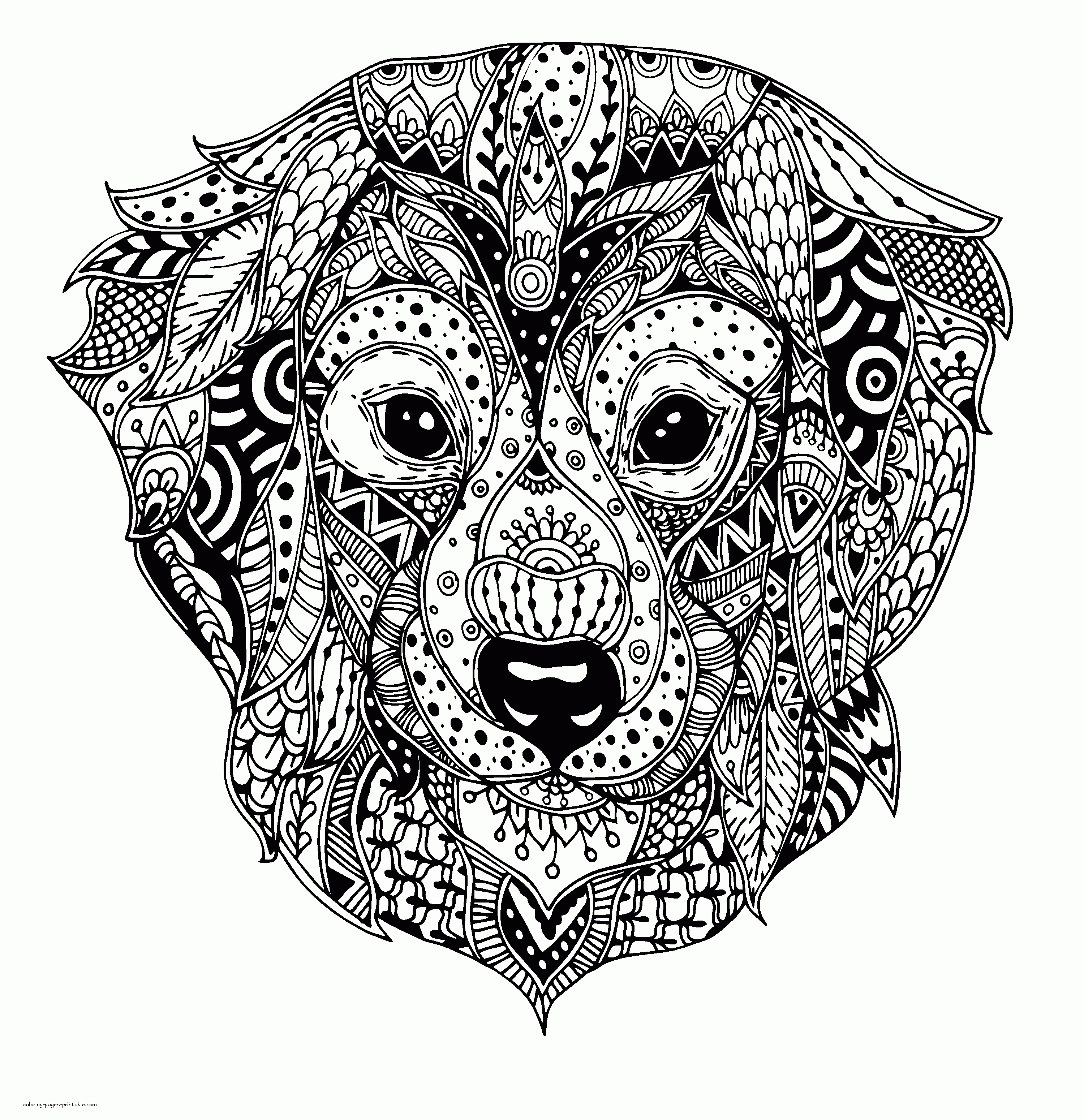 Printable Animal Coloring Pages For Adults