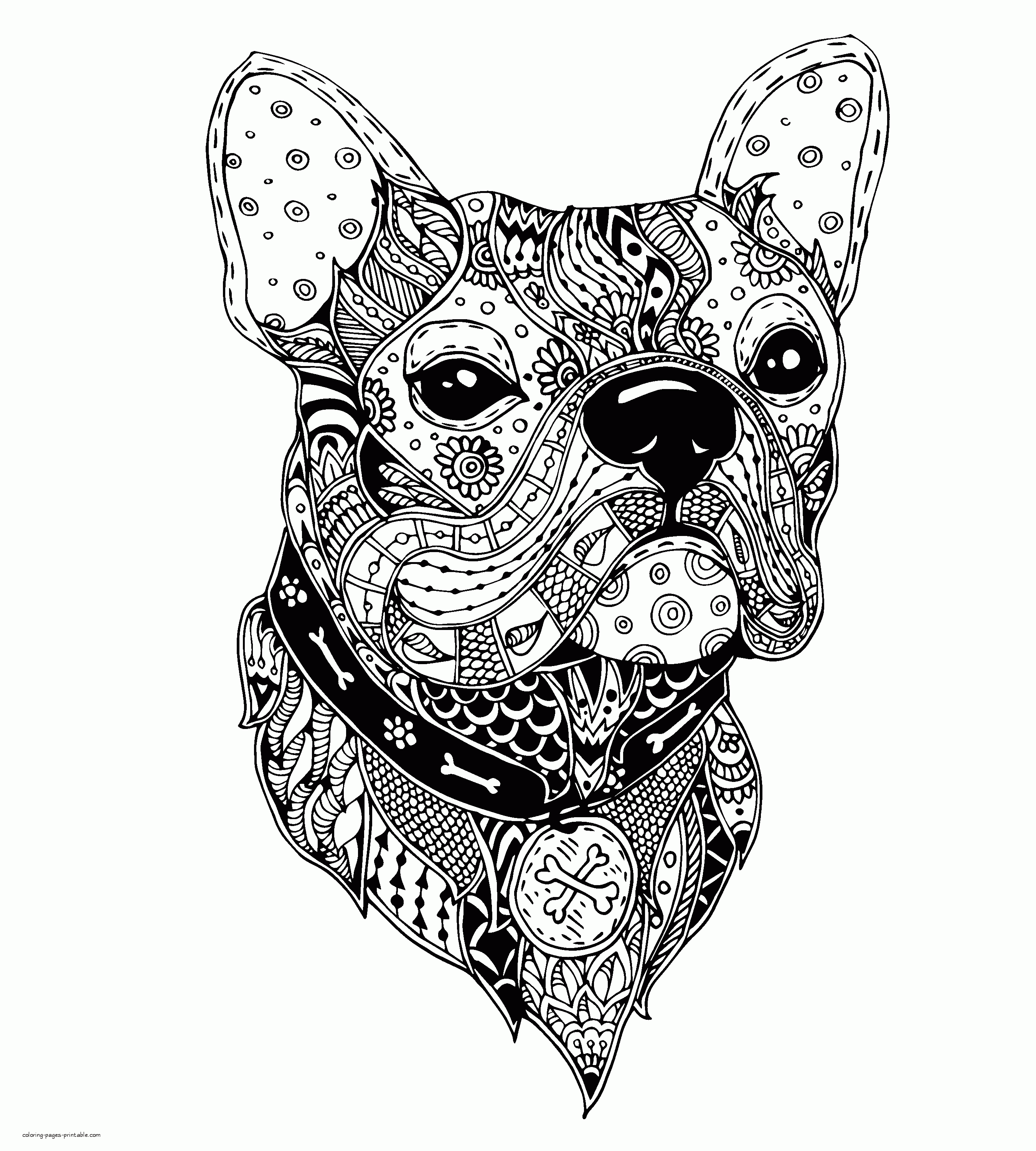 Complex Animal Coloring Pages    COLORING PAGES PRINTABLE.COM