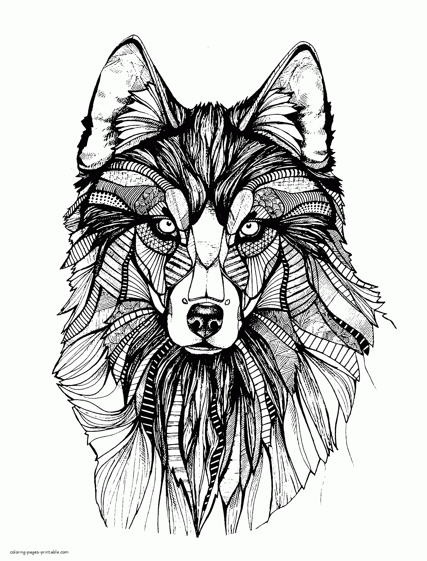 Animal Mandala Coloring Pages    COLORING PAGES PRINTABLE.COM
