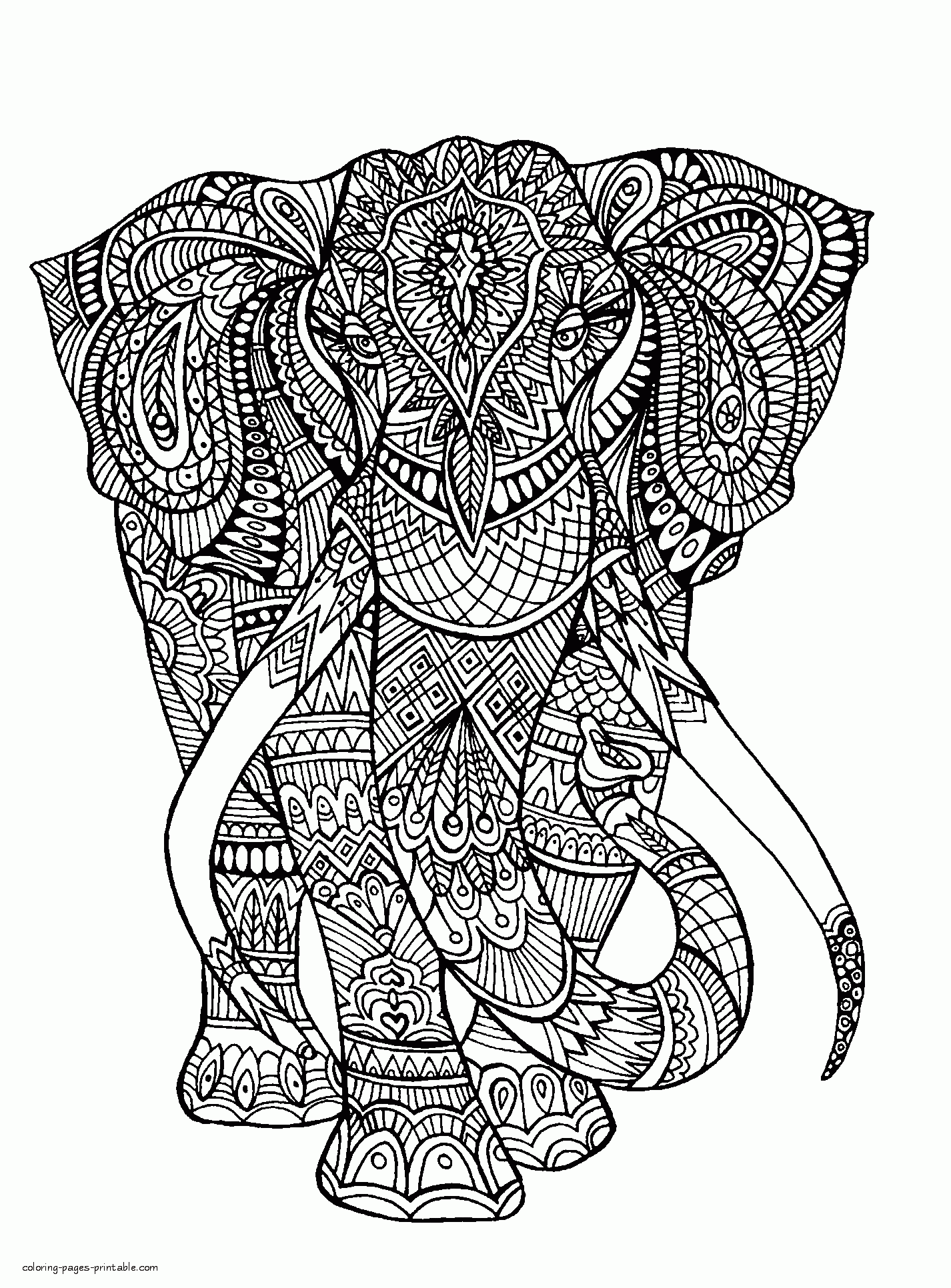 Difficult Elephant Colouring Page    COLORING PAGES PRINTABLE.COM
