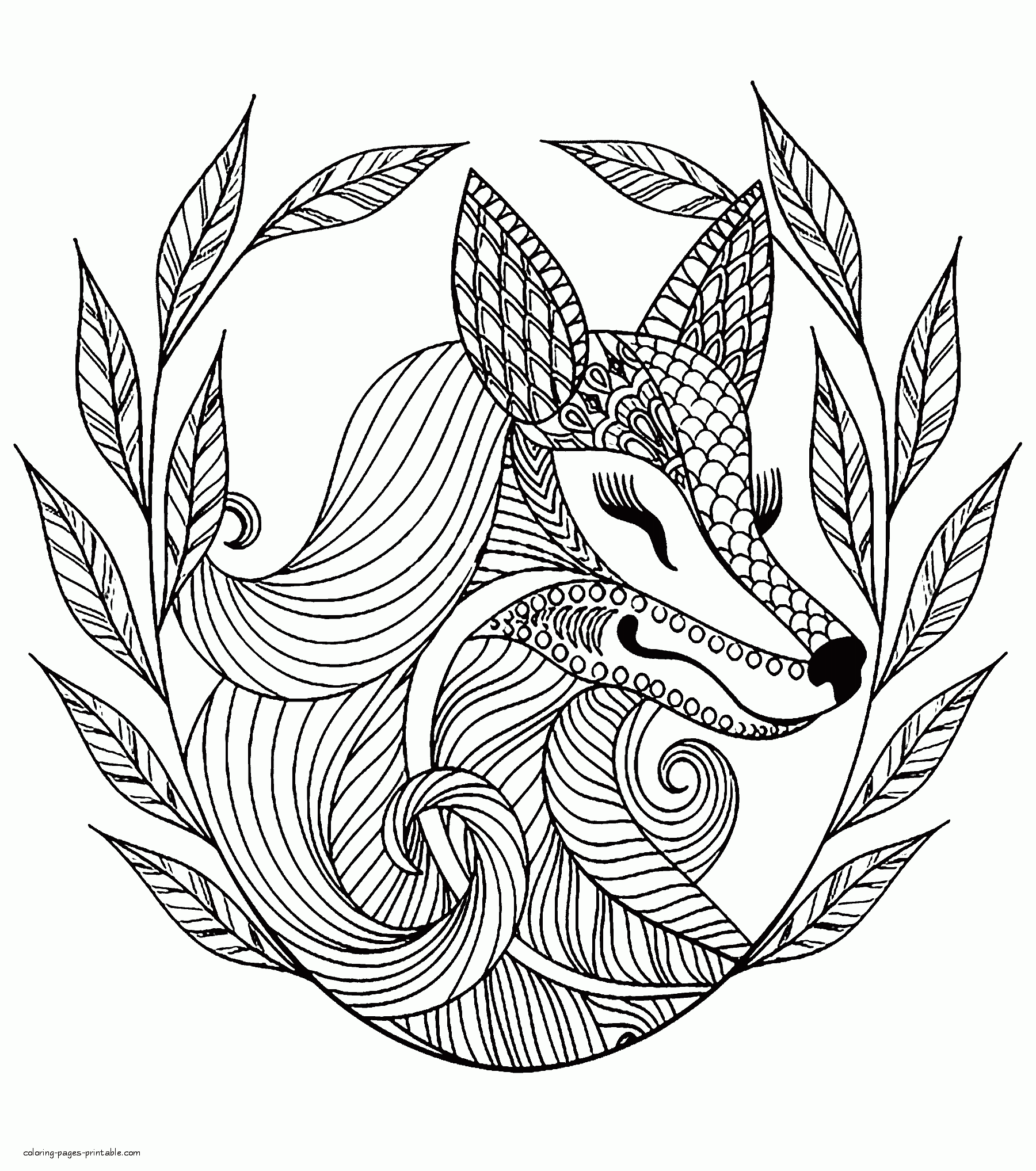 Cute Animal Colouring Pages. A Fox    COLORING PAGES PRINTABLE.COM