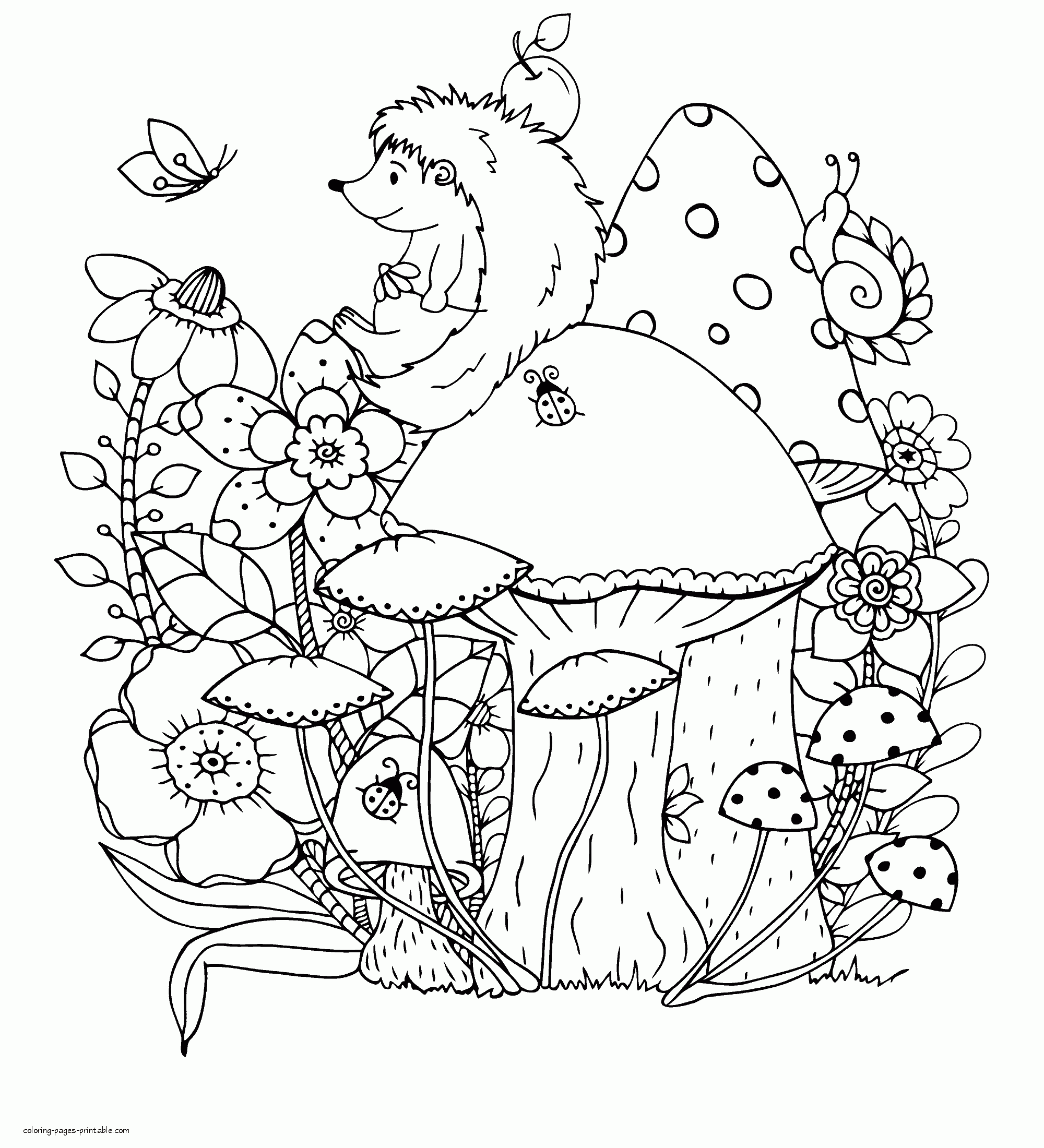 Hedgehog On A Mushroom Coloring Sheet || COLORING-PAGES-PRINTABLE.COM