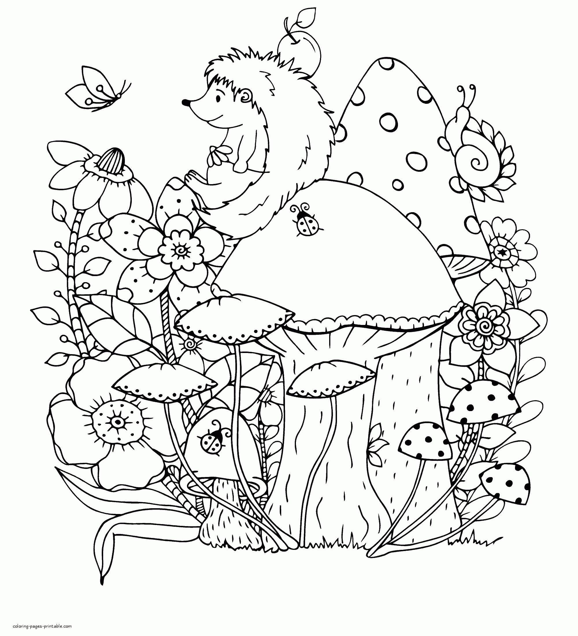 Hedgehog On A Mushroom Coloring Sheet COLORING PAGES PRINTABLE COM
