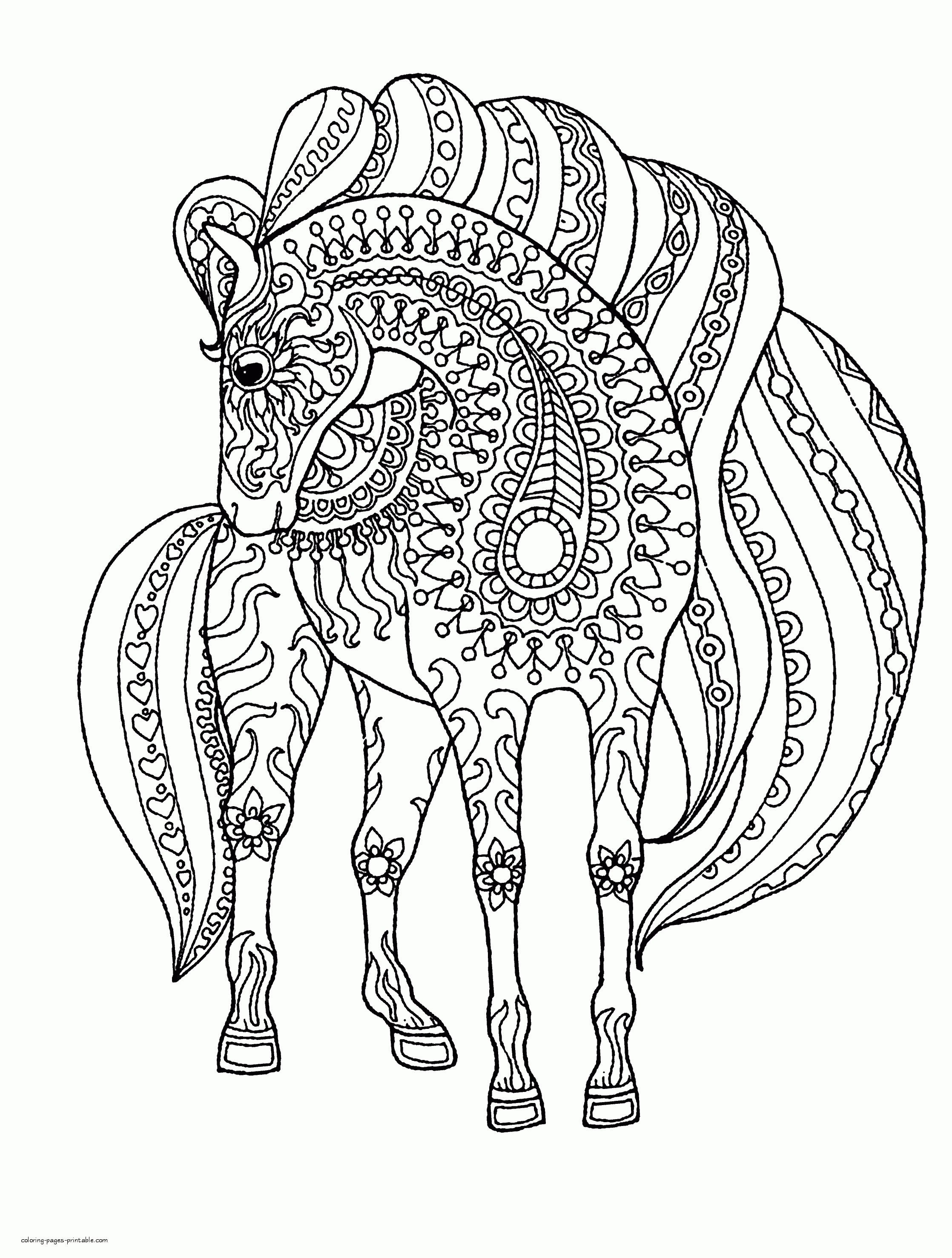Horse Coloring Pages For Adults    COLORING PAGES PRINTABLE.COM