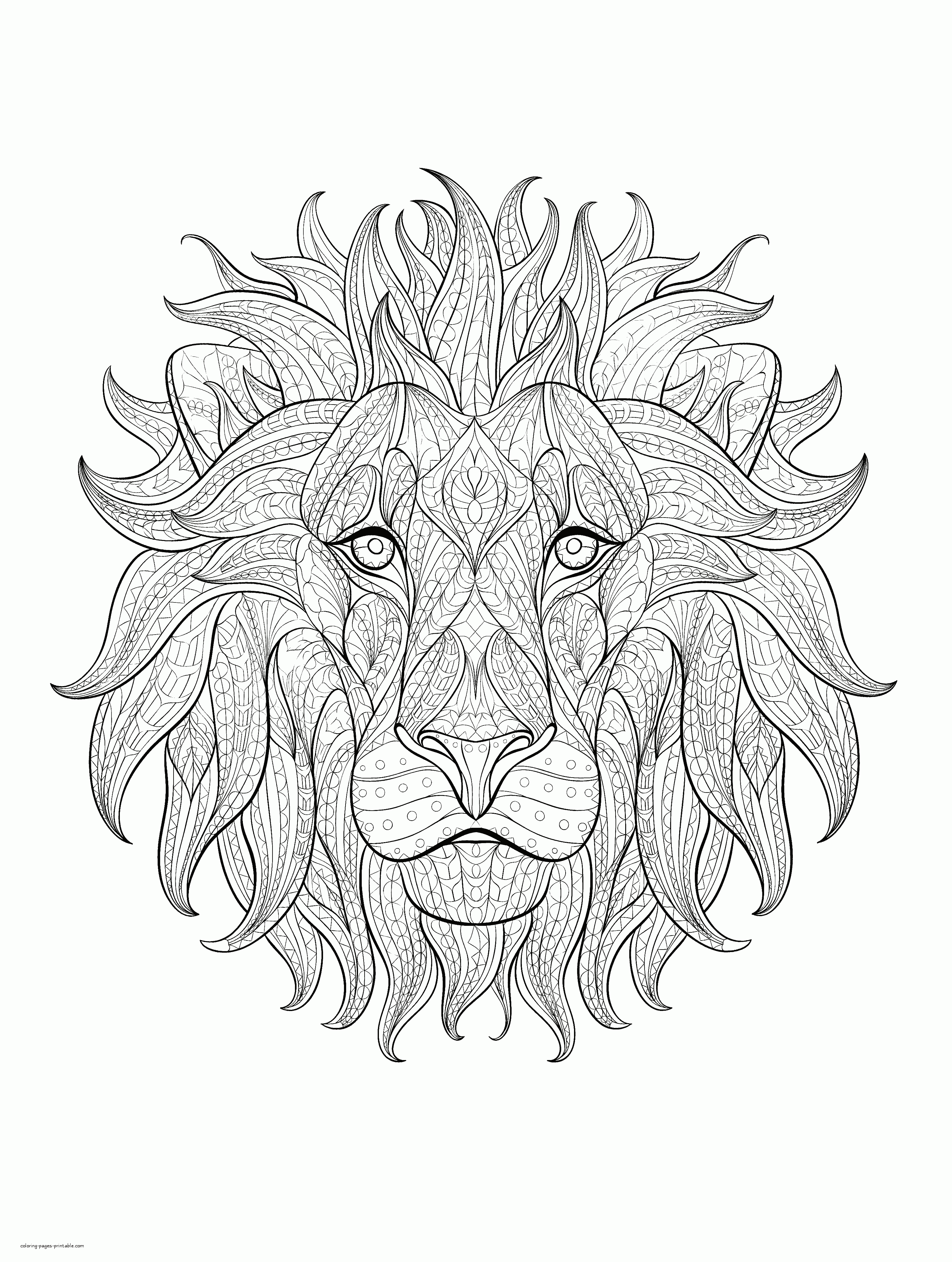 Free Lion Coloring Pages    COLORING PAGES PRINTABLE.COM