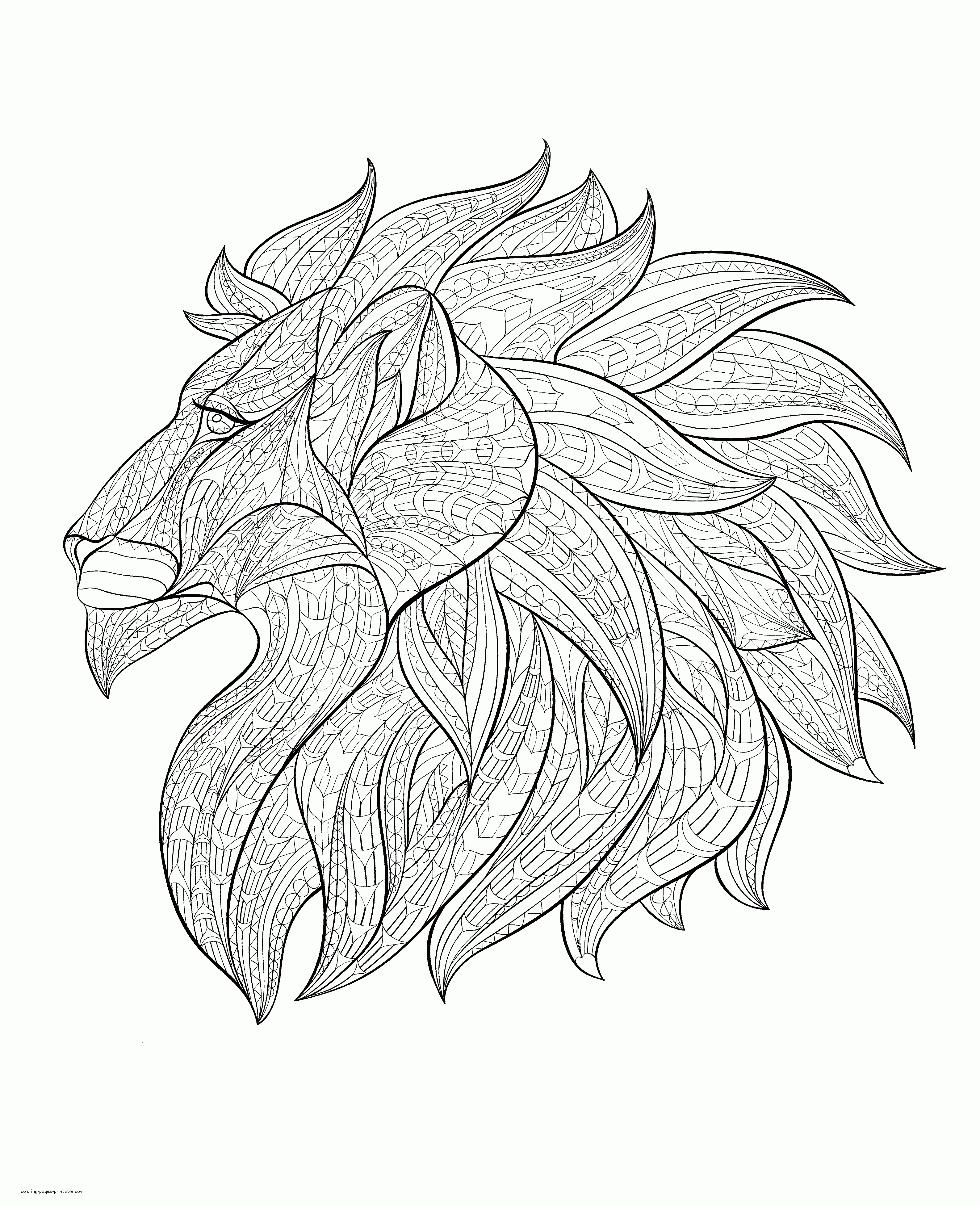 Lion Coloring Pages For Adults printable || COLORING-PAGES-PRINTABLE.COM
