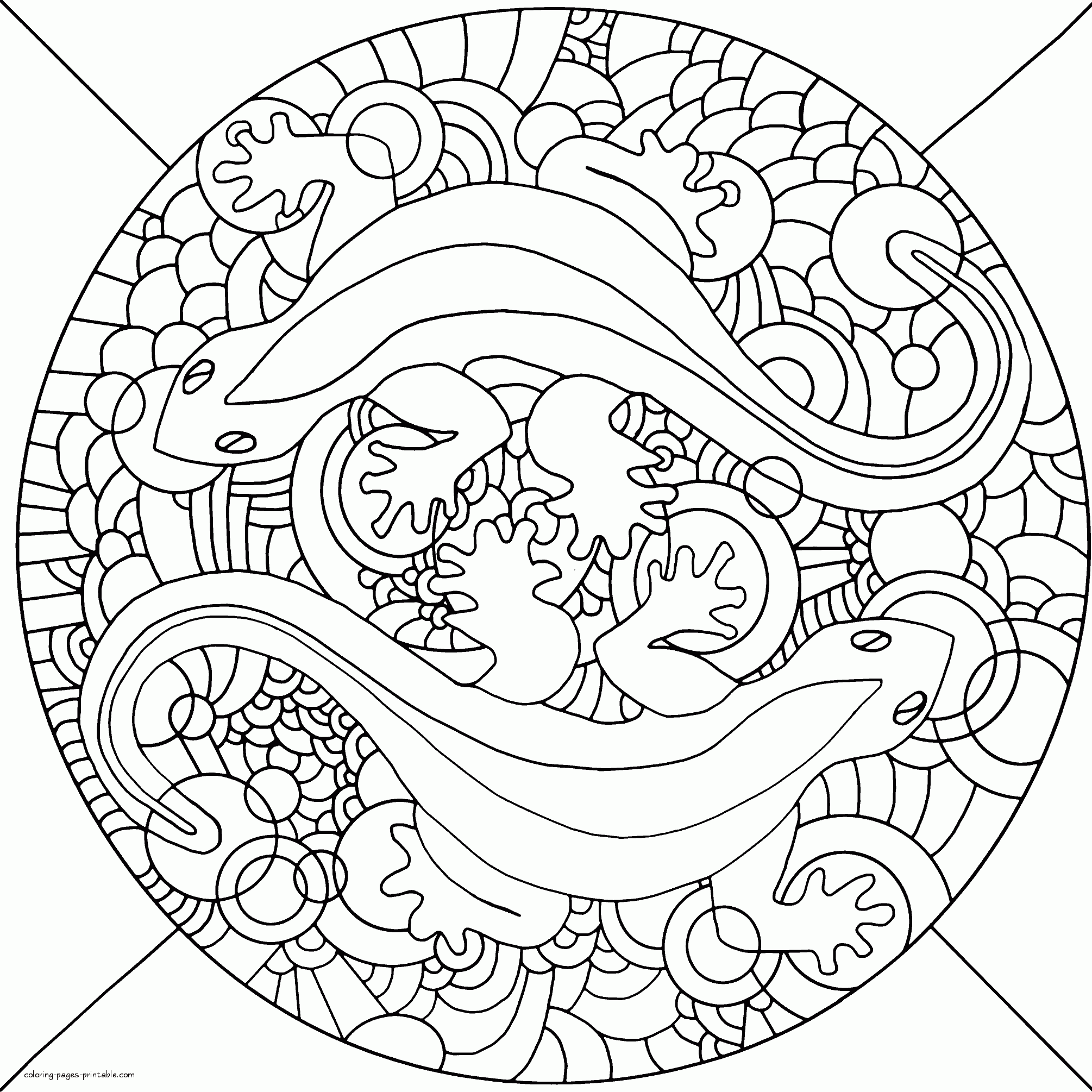 Lizards Coloring Page For Adult To Print