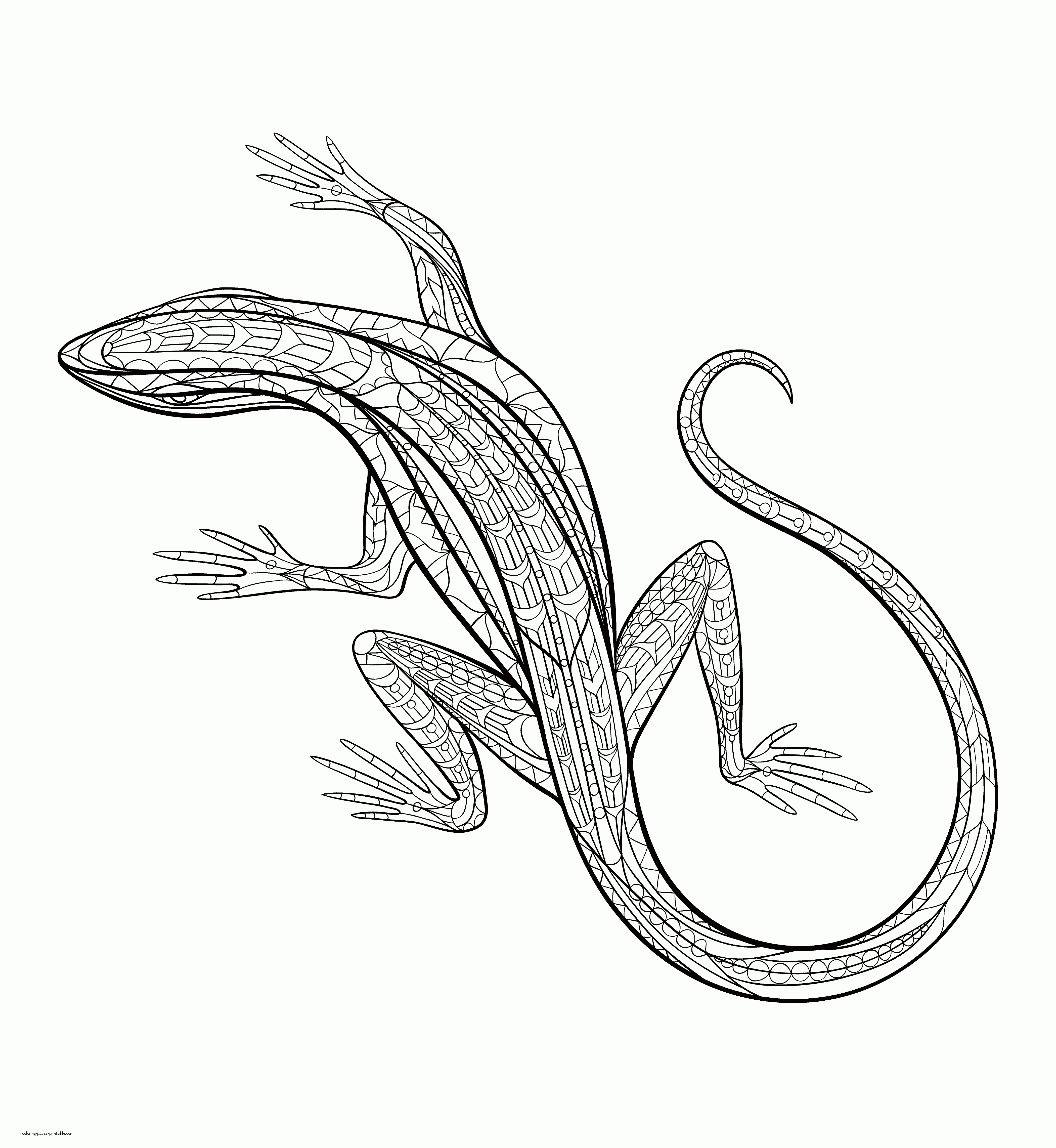 Lizard Coloring Pages For Adults || COLORING-PAGES-PRINTABLE.COM
