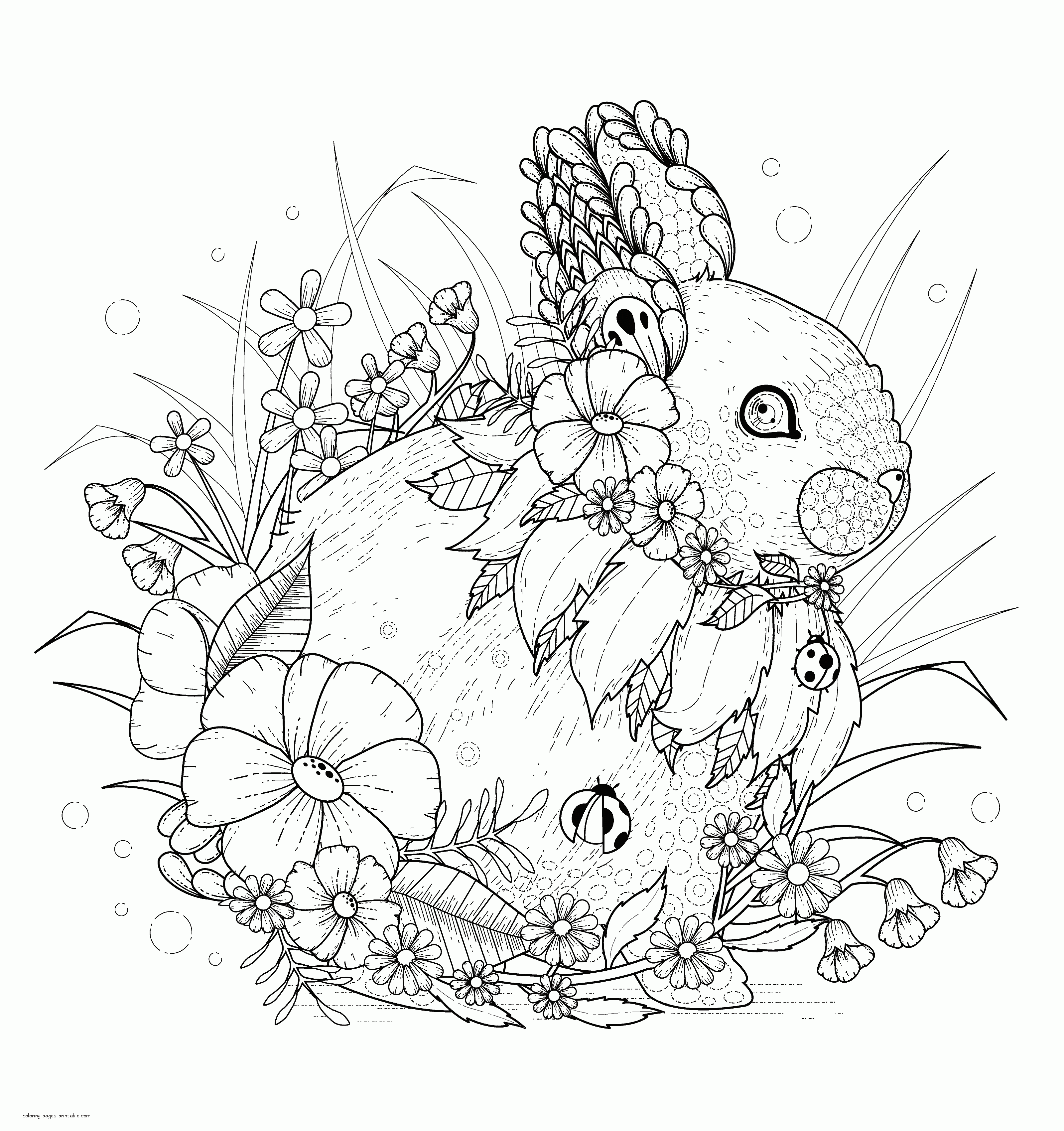 Rabbit Coloring Pages. Adult Animal Book || COLORING-PAGES-PRINTABLE.COM