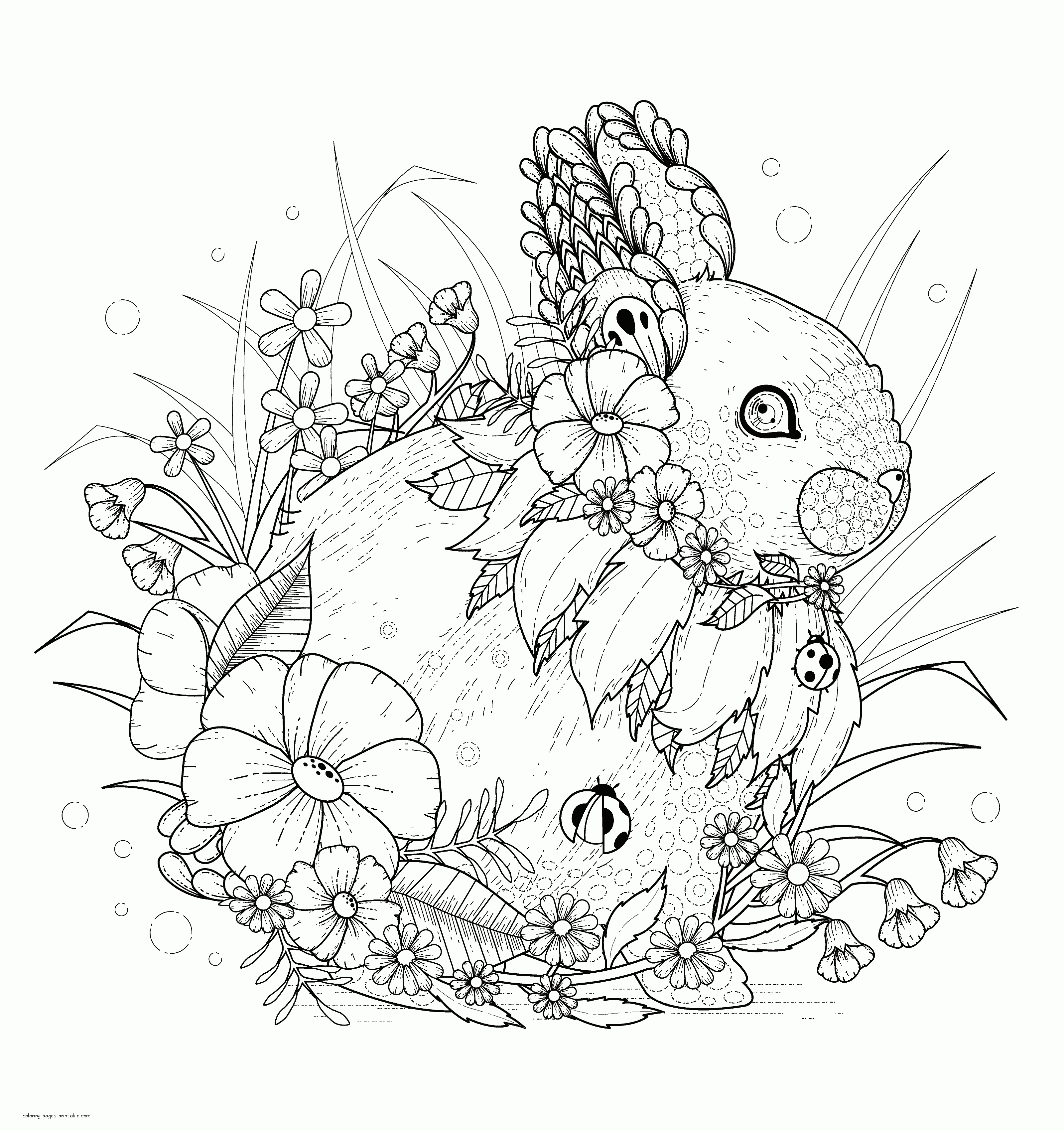 rabbit coloring book pages